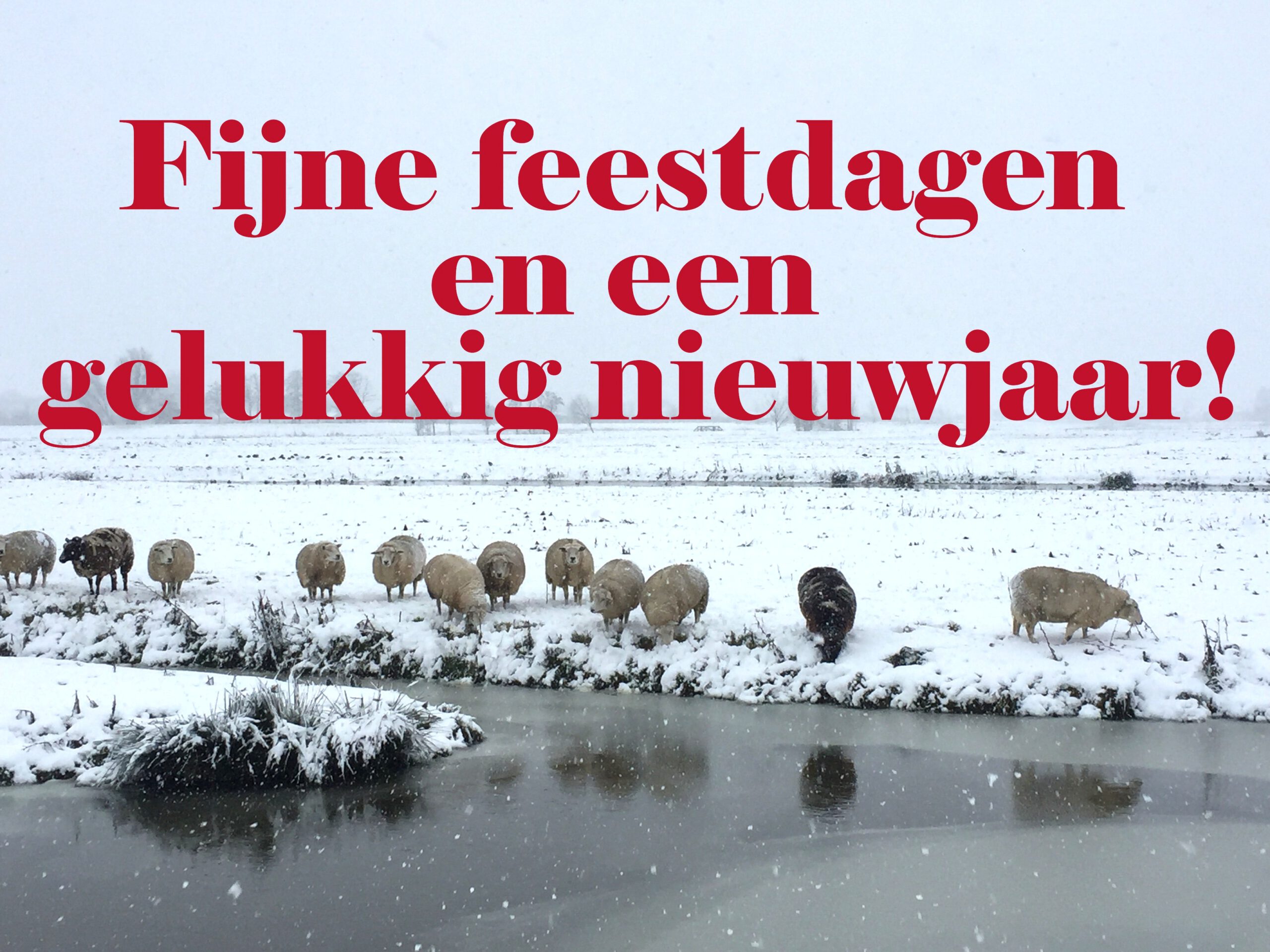 Fijne feestdagen!